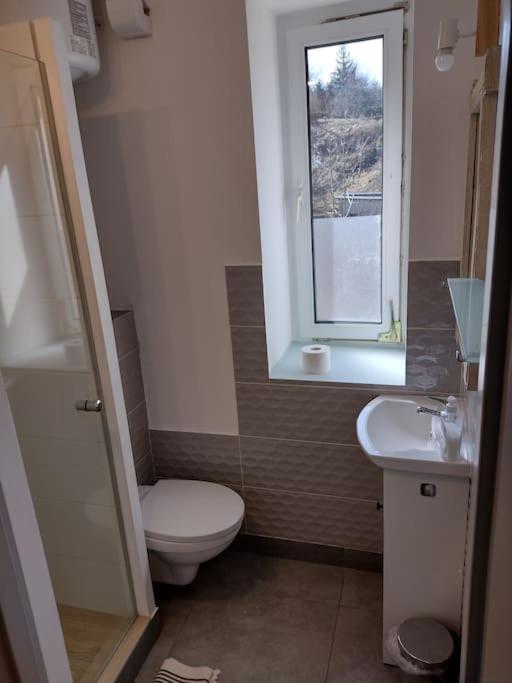 Sudety Hut 3 Apartment Подгожин Екстериор снимка
