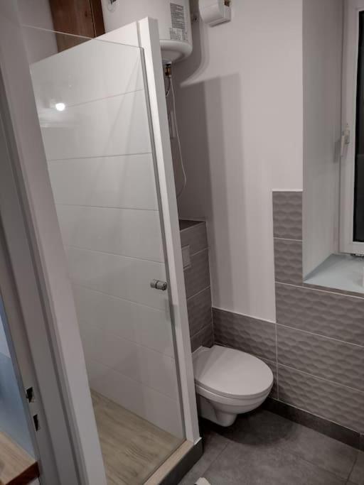 Sudety Hut 3 Apartment Подгожин Екстериор снимка